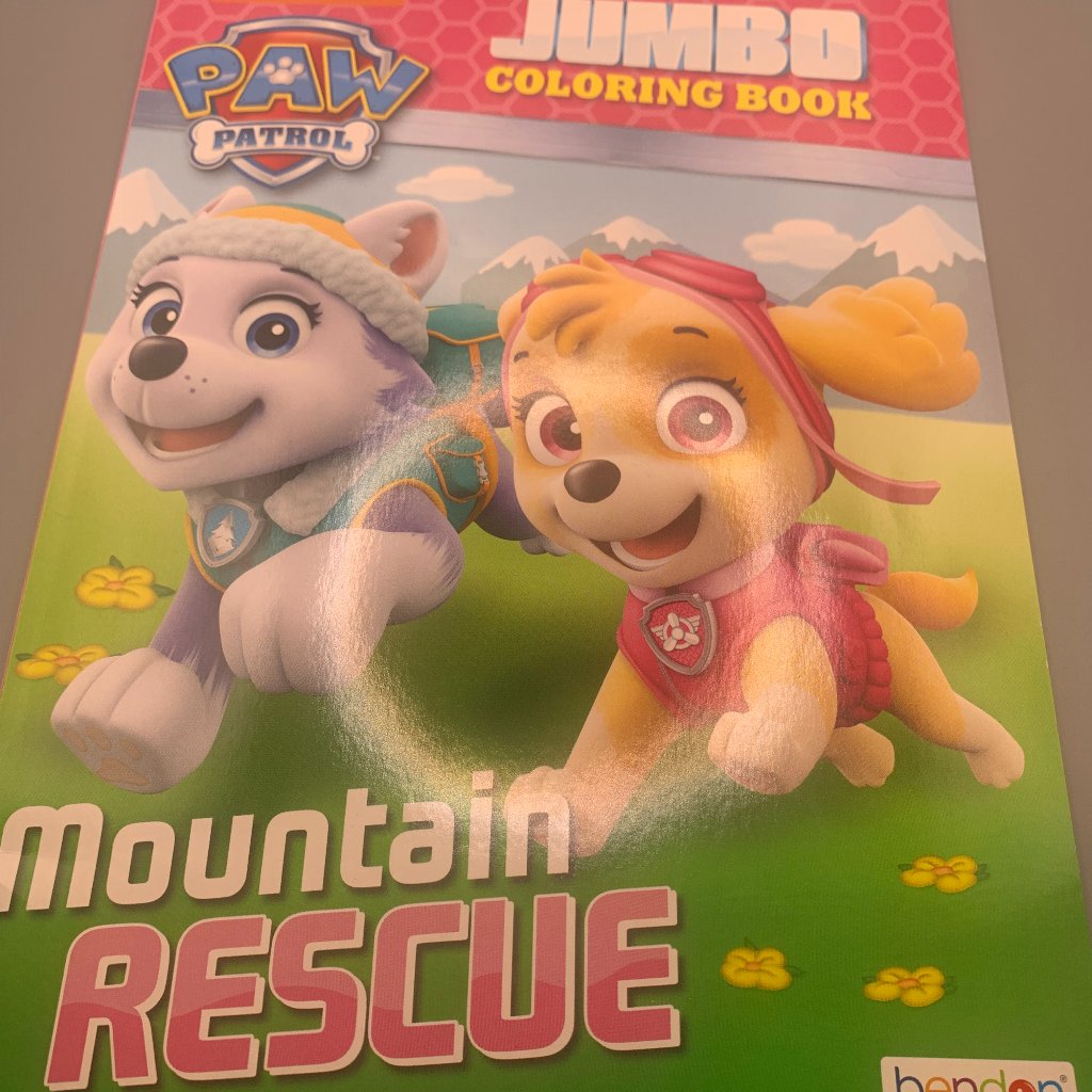 Nick Jr Paw Patrol Jumbo Coloring Book New